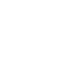 logo quasar monocromatico